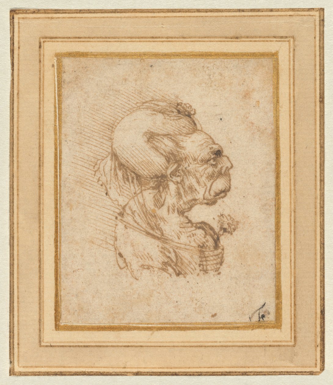 Grotesker Kopf einer alten Frau von Leonardo da Vinci