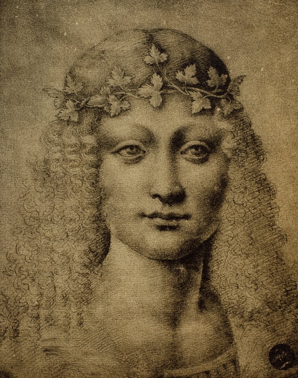 Kopf eines Mädchens oder eines jungen Bacchus; Zeichnung von Leonardo da Vinci. Gallerie dell