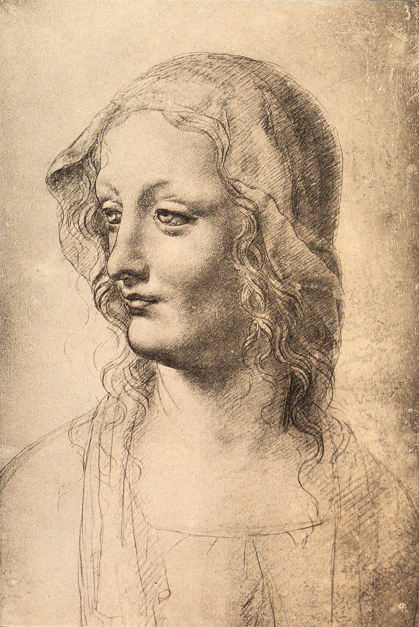 Kopf einer jungen Frau, Zeichnung von Leonardo da Vinci, Gabinetto dei Disegni e Stampe, Uffizien, Florenz von Leonardo da Vinci