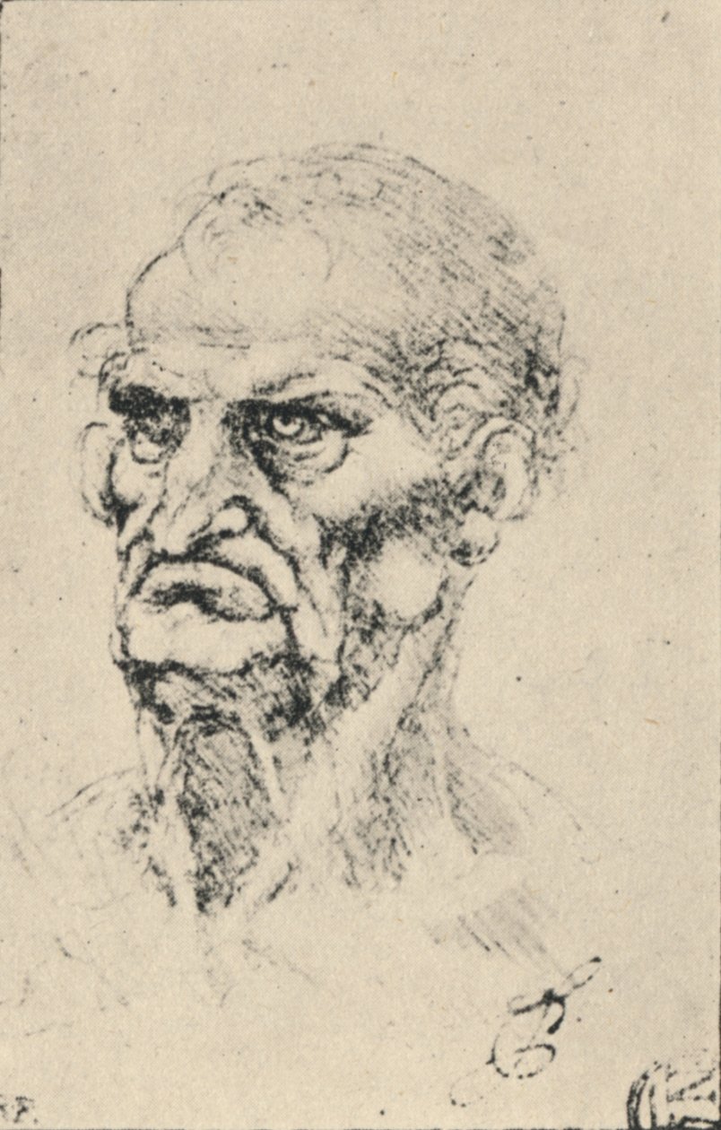 Kopf eines alten Mannes, Dreiviertelansicht nach links, ca. 1480 von Leonardo da Vinci