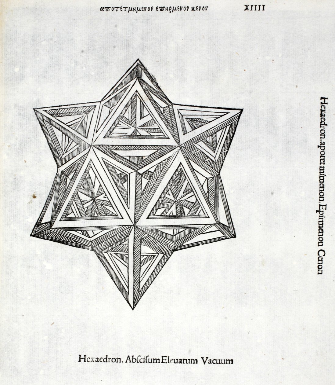 Hexacedron abscisum elevatum vacuum, Illustration aus 