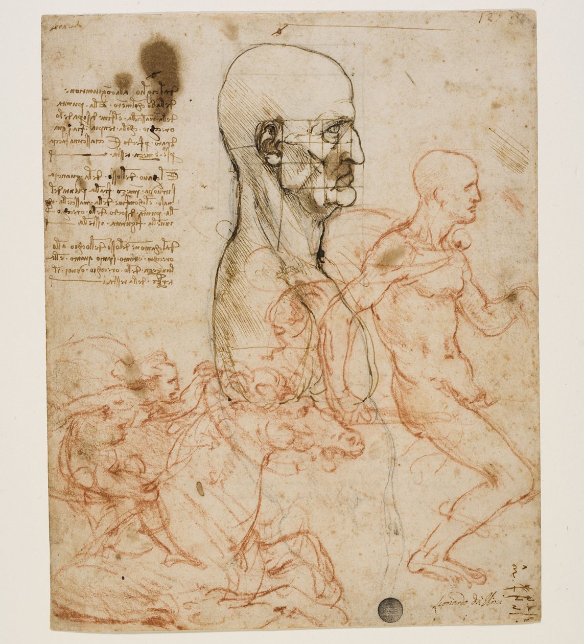 Menschliche Büste im Profil mit Proportionsstudie, ca. 1490-1499 von Leonardo da Vinci
