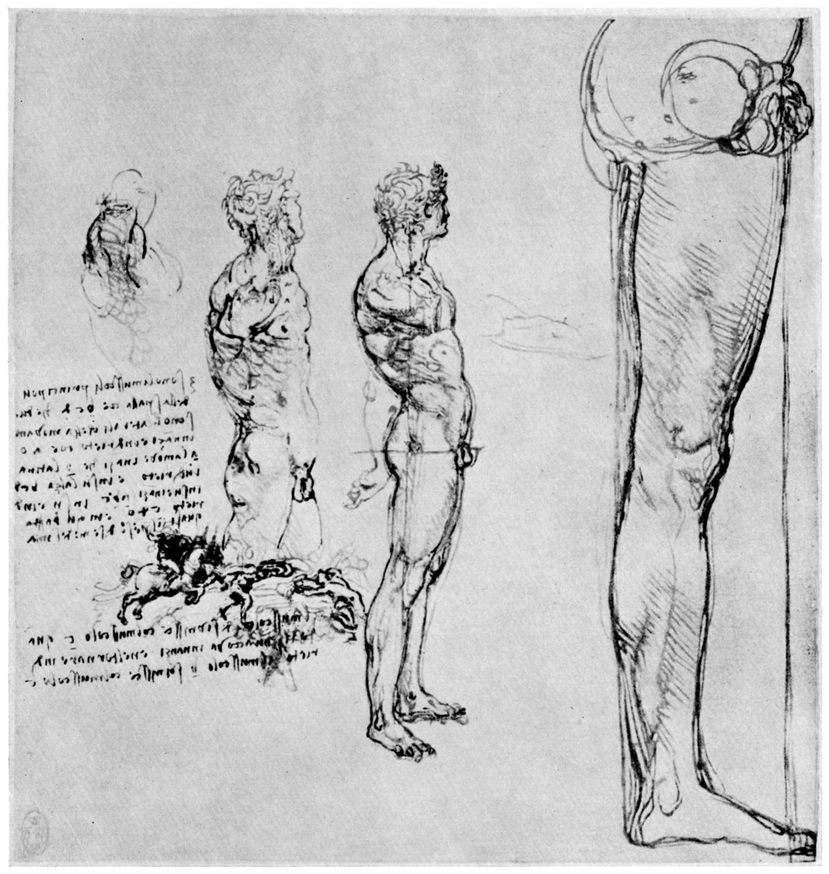 Aktstudien für Die Schlacht von Anghiari, ca. 1503-1505 von Leonardo da Vinci