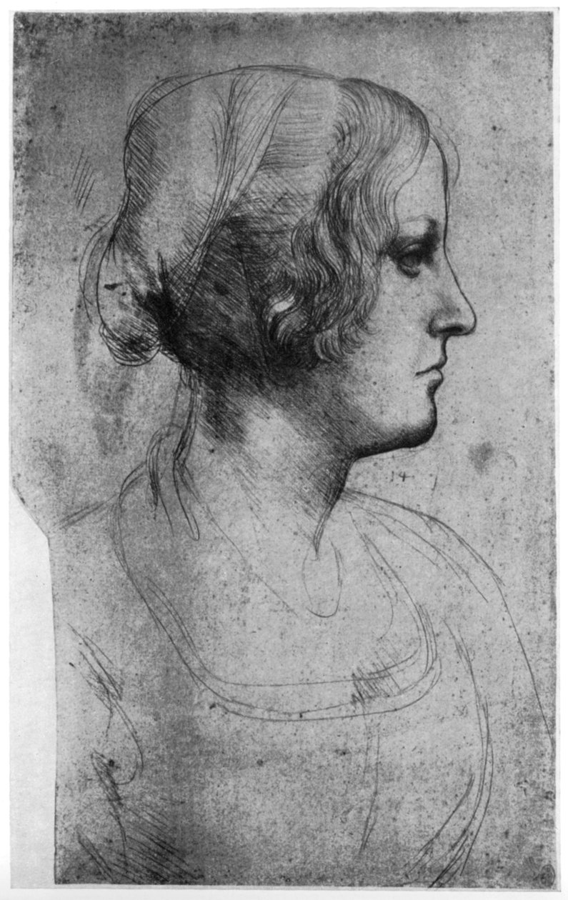 Porträtstudie eines jungen Mädchens, 15. Jahrhundert von Leonardo da Vinci