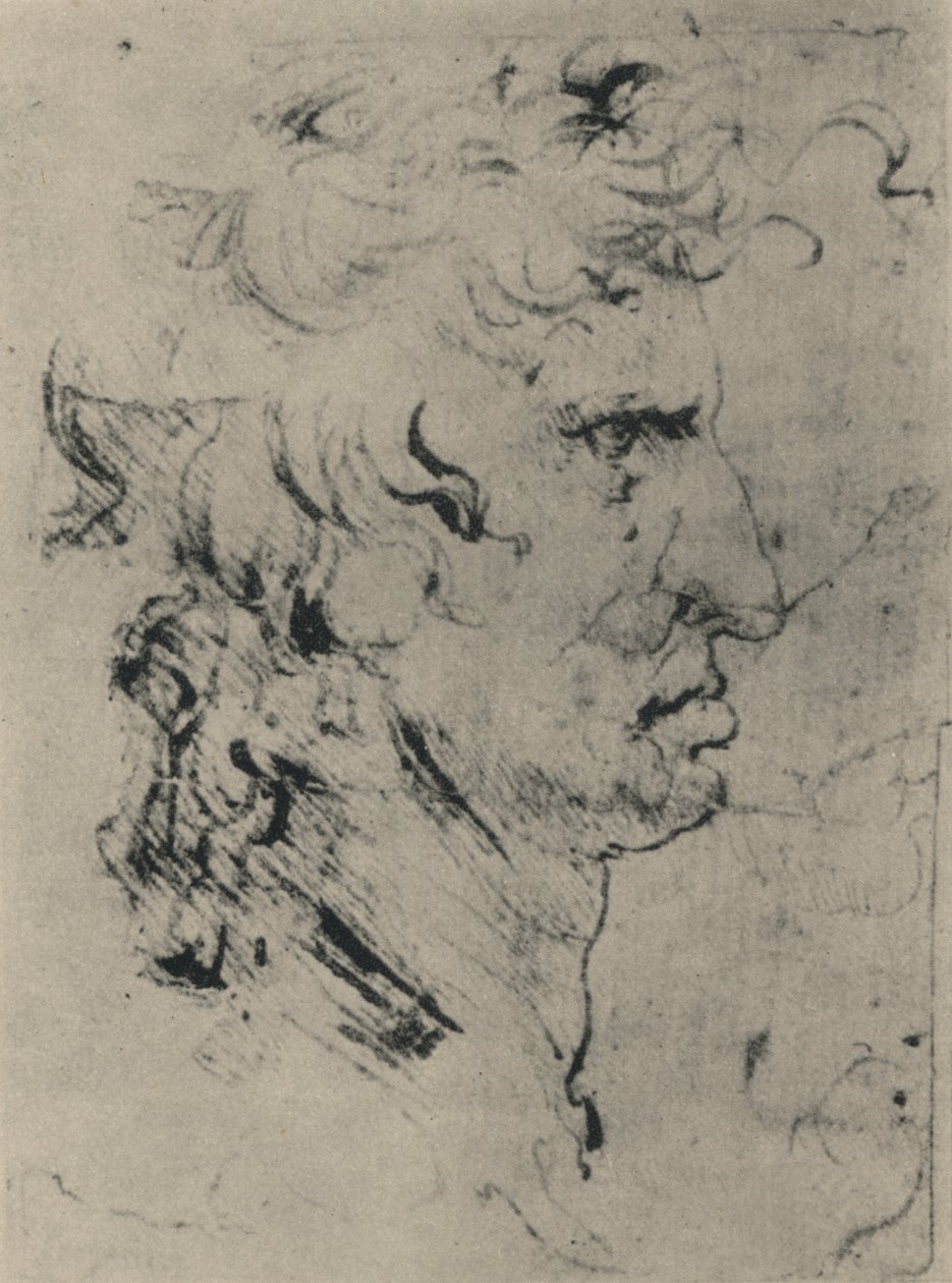 Profil eines Mannes nach rechts, ca. 1480, 1945 von Leonardo da Vinci