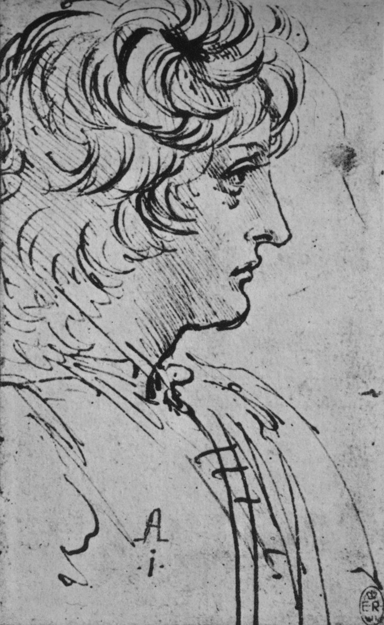 Profil eines Jugendlichen nach rechts, um 1480 von Leonardo da Vinci