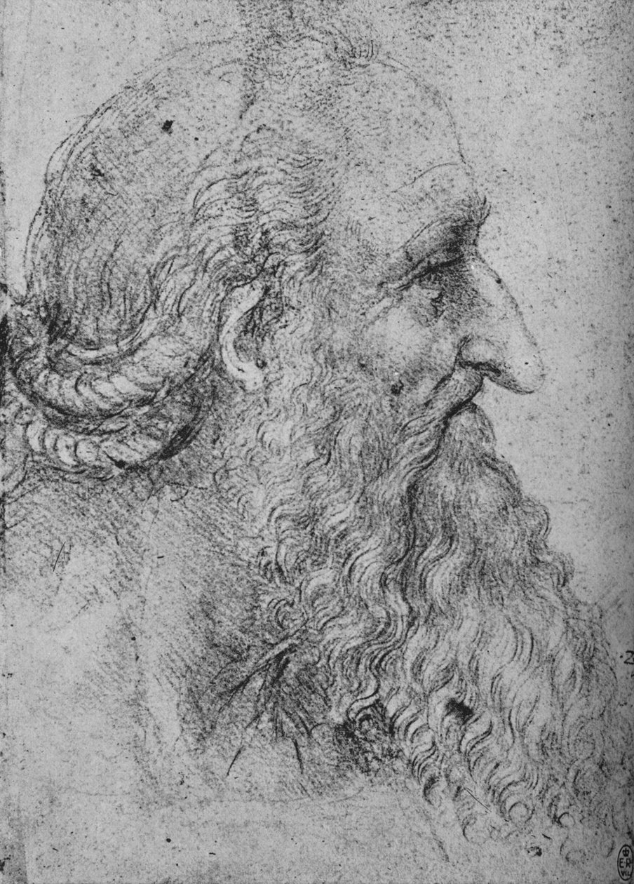 Profil eines alten, bärtigen Mannes nach rechts, ca. 1480, 1945 von Leonardo da Vinci
