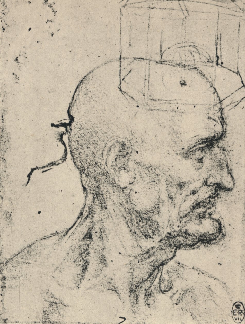 Profil eines glatzköpfigen Mannes nach rechts von Leonardo da Vinci