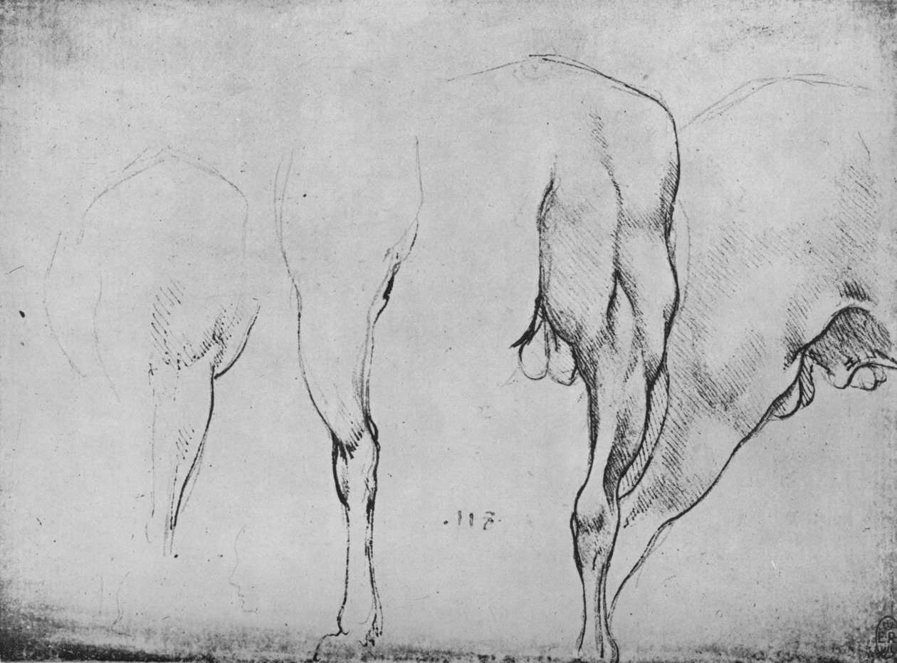 Studien von Pferdebeinen, 1480, 1945 von Leonardo da Vinci