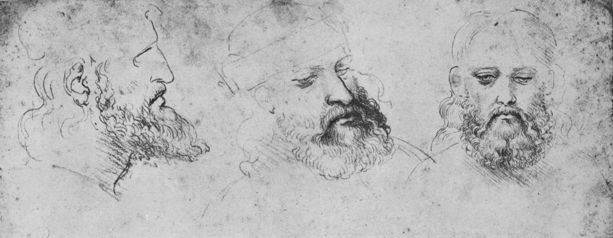 Studien des Kopfes von Cesare Borgia aus drei Blickwinkeln, um 1480 von Leonardo da Vinci