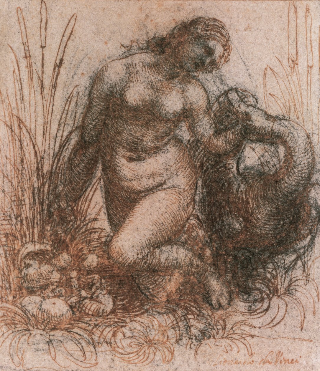 Studie für Leda und der Schwan von Leonardo da Vinci, Zeichnung von Leonardo da Vinci