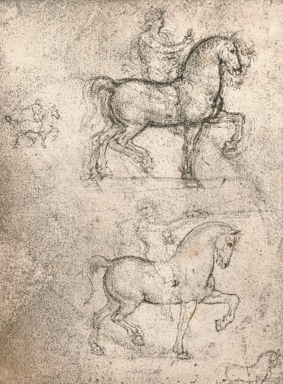 Studie für das Sforza-Denkmal, ca. 1482-ca. 1499 1883 von Leonardo da Vinci