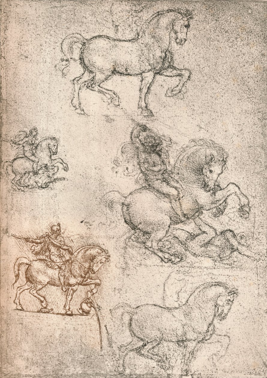 Studie für das Sforza-Denkmal, ca. 1482-ca. 1499 1883 von Leonardo da Vinci