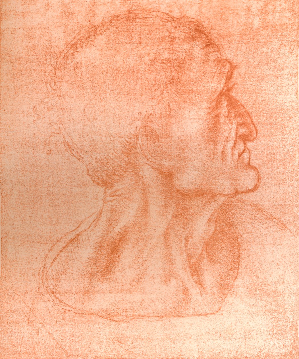 Studie für den Kopf von Judas in `Das letzte Abendmahl`, ca. 1494-ca. 1499 von Leonardo da Vinci