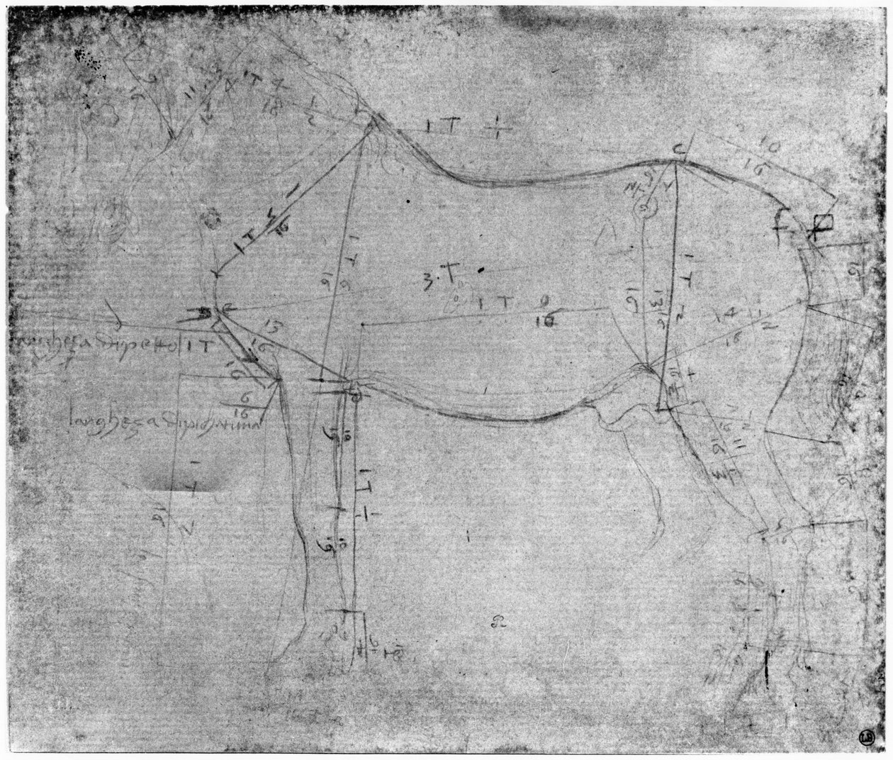 Studie eines Pferdes von Leonardo da Vinci
