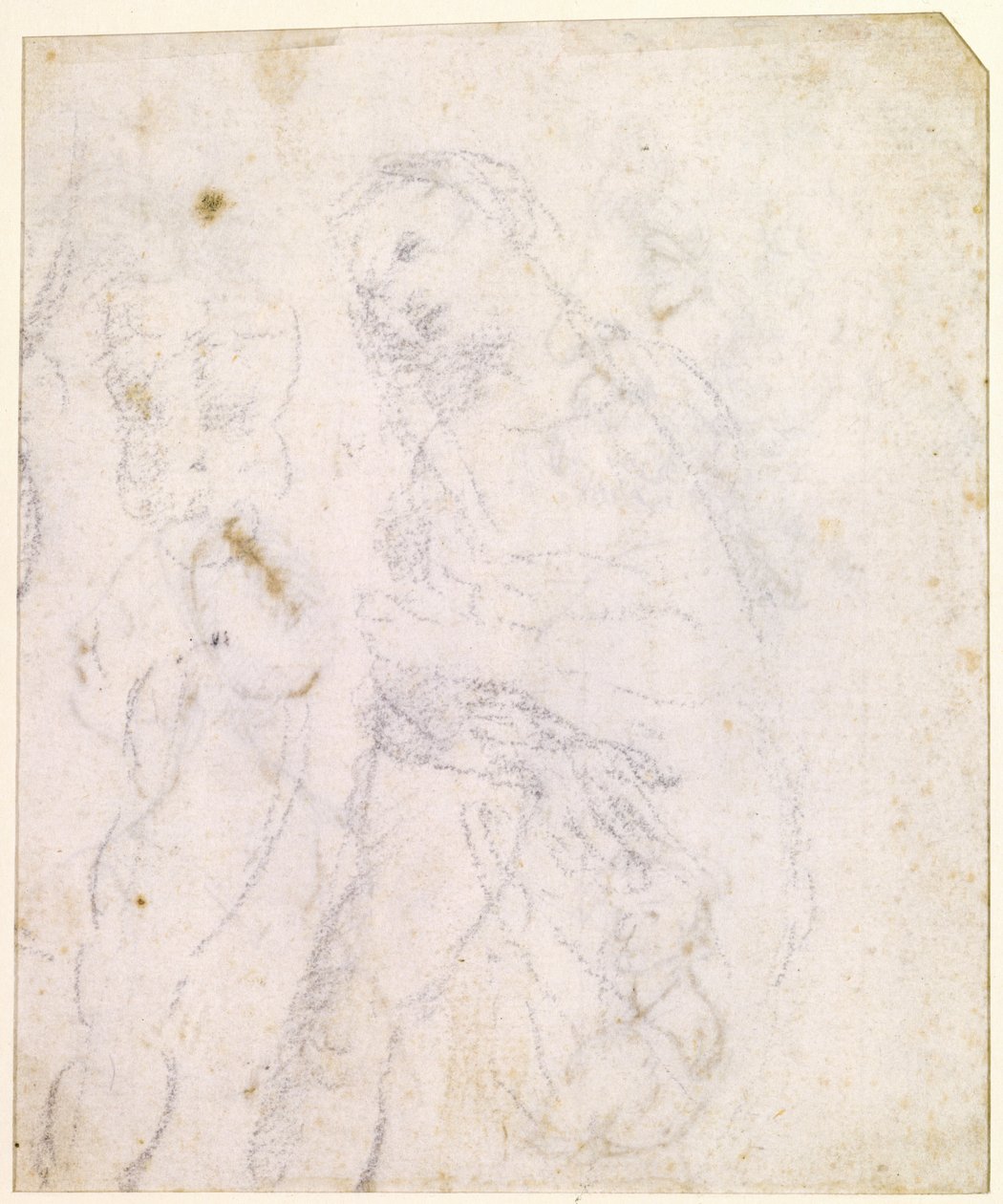 Studie einer Madonna von Leonardo da Vinci