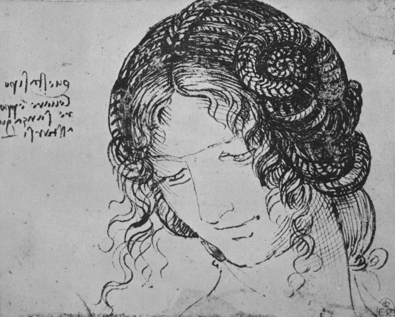 Studie eines geflochtenen Frauenhaars von Leonardo da Vinci