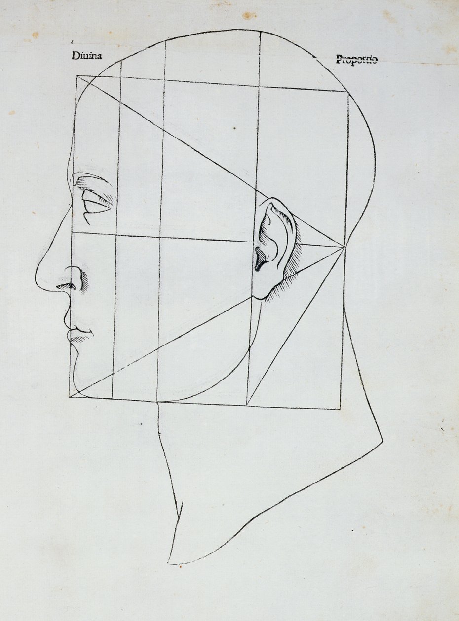 Der menschliche Kopf, Illustration für 