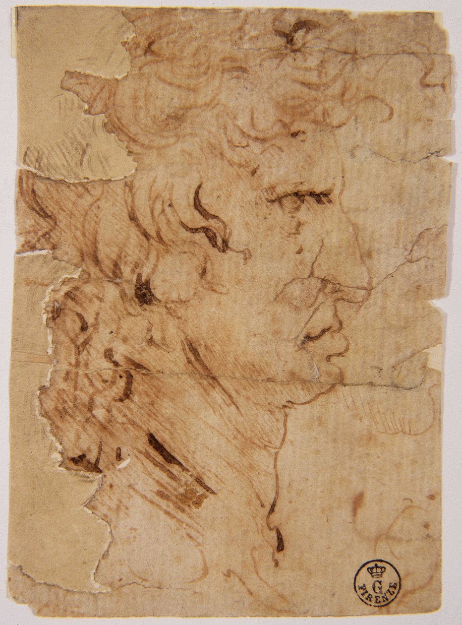 Unbekanntes Bild von Leonardo da Vinci