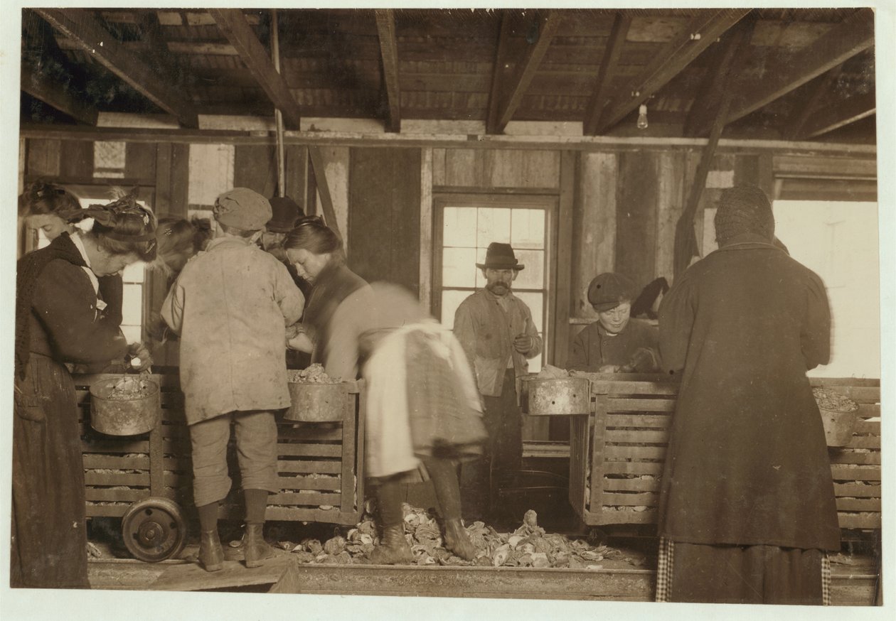 Der 10-jährige Mike Murphy, die 7-jährige Annie Healy und der 10-jährige Ross Healy (der seit 2 Jahren arbeitet) im Schuppen der Alabama Canning Co, Bayou La Batre, Alabama, 1911 von Lewis Wickes Hine