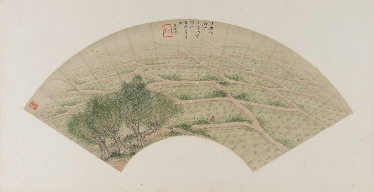 Reisfelder mit Reihern, Qing-Dynastie, 1741 von Li Shizuo