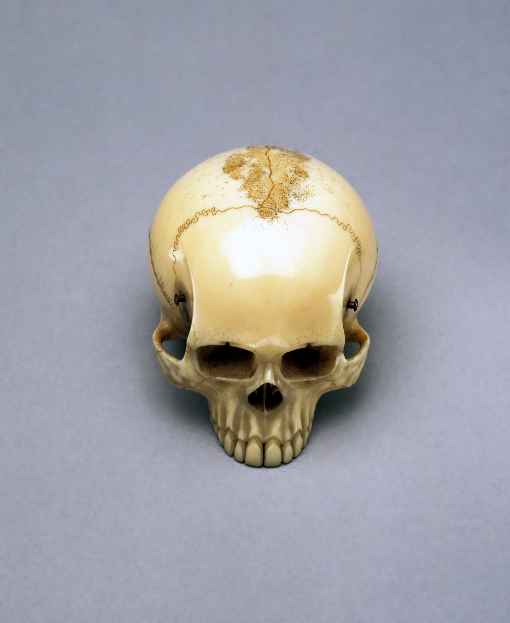 Modell eines Schädels, wahrscheinlich ein Netsuke, japanisch von Unbekannt Unbekannt