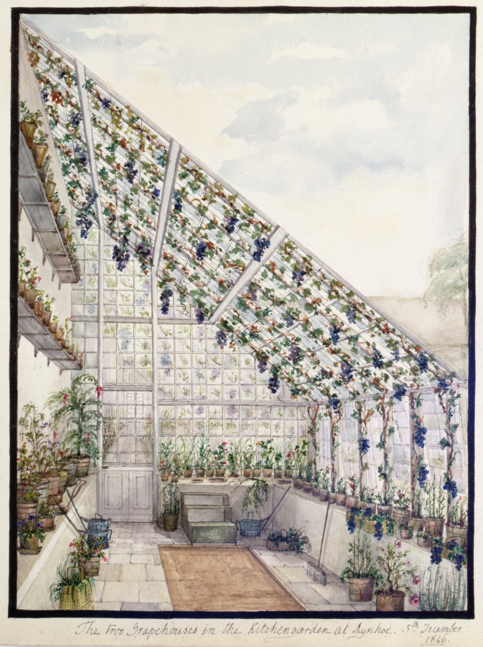 Die beiden Traubenhäuser im Küchengarten, Aynhoe von Lili Cartwright