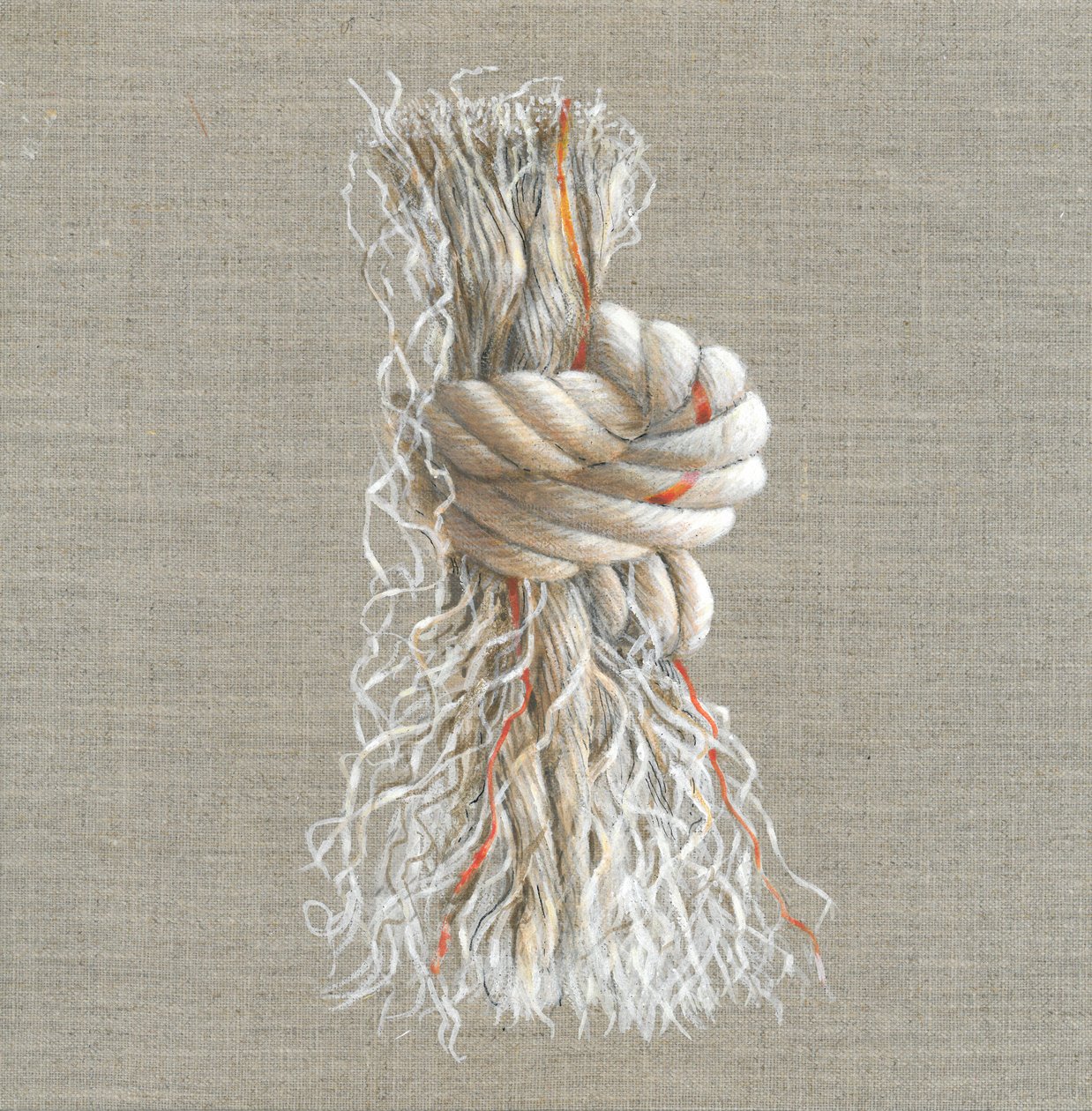 Seilknoten von Lincoln Seligman