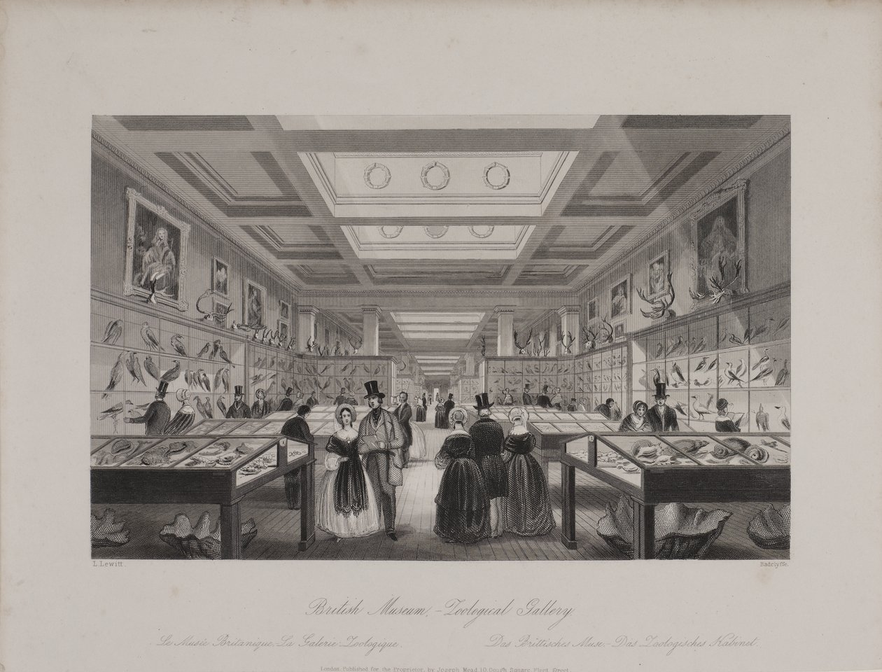 Ansicht der Zoologischen Galerie, Britisches Museum, zeigt Besucher, die sich die Ausstellungen ansehen, ca. 1850 (Gravur) von Llewellyn (after) Jewitt