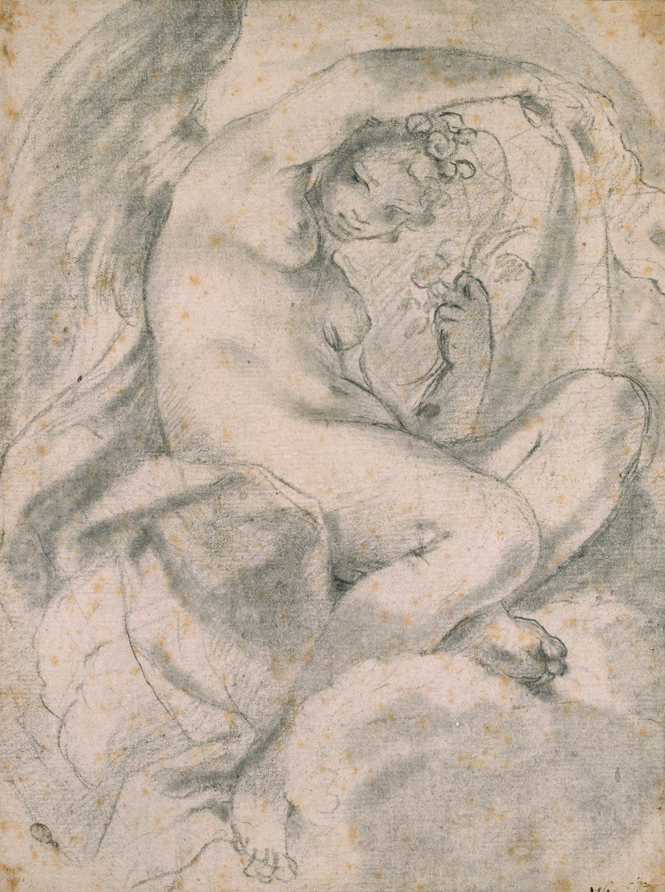 Eine Nymphe möglicherweise Flora inmitten von Wolken, 1575-1619 von Lodovico Carracci
