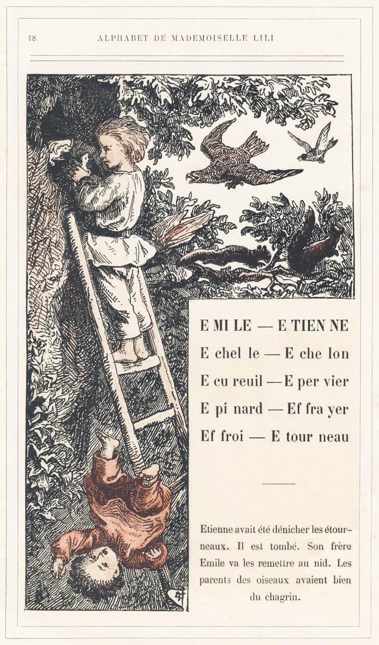 Emile, Etienne, Echelle, Echelon, Eichhörnchen, Spatz, Spinat, Vogelscheuche, Farry, Stourneau, Seite 18 - Alphabet von Mademoiselle Lili, von L. Froelich und von einem Vater (Hetzel selbst). Bibliotheque & Magasin d