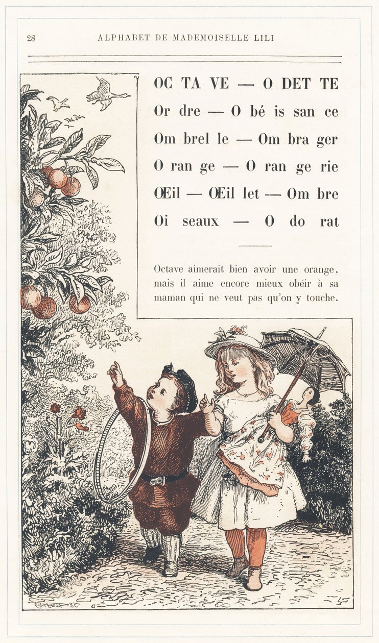 Oktave, Odette, Ordnung, Gehorsam, Regenschirm, Schatten, Orange, Orangerie, Auge, Nelke, Schatten, Vögel, Geruch, Seite 28 - Alphabet von Mademoiselle Lili, von L. Froelich und einem Vater (Hetzel selbst). Bibliotheque & Magasin d