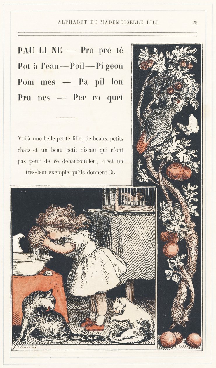 Pauline, Sauber, Wasserkrug, Haar, Taube, Äpfel, Schmetterling, Pflaumen, Papagei, Seite 29 - Alphabet von Mademoiselle Lili, von L. Froelich und von einem Vater (Hetzel selbst). Bibliotheque & Magasin d