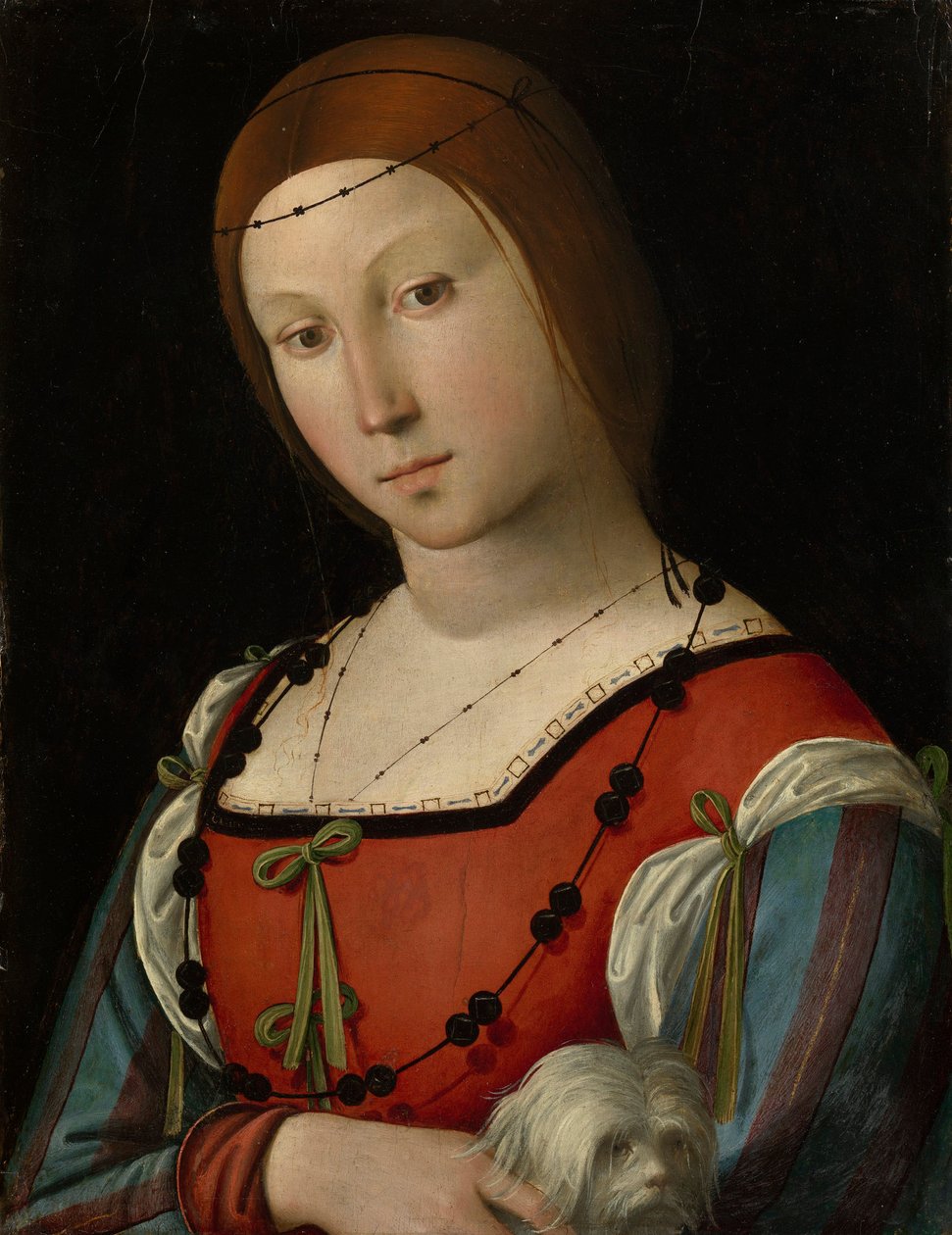 Porträt einer Dame mit einem Schoßhund von Lorenzo Costa