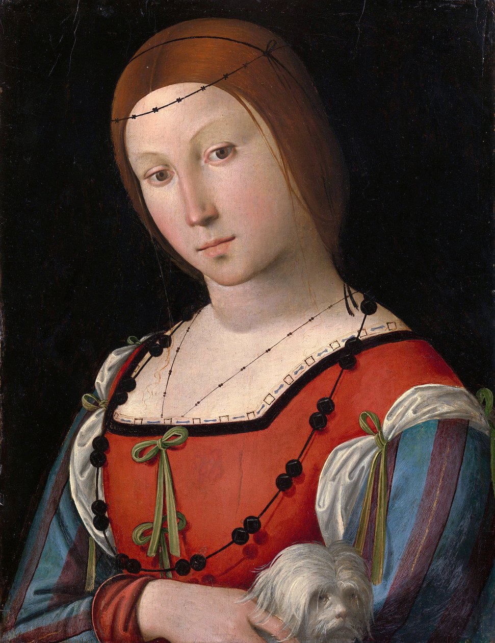 Porträt einer Dame mit einem Schoßhund von Lorenzo Costa