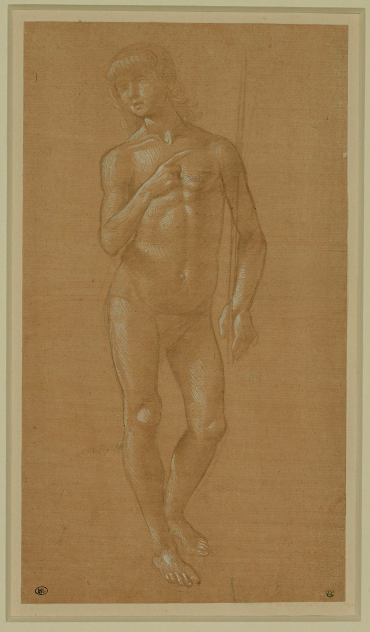 Nackter junger Mann, Frontalansicht, mit einem Stab, Silberstift, weiß gehöht, hellrosa Papier von Lorenzo di Credi