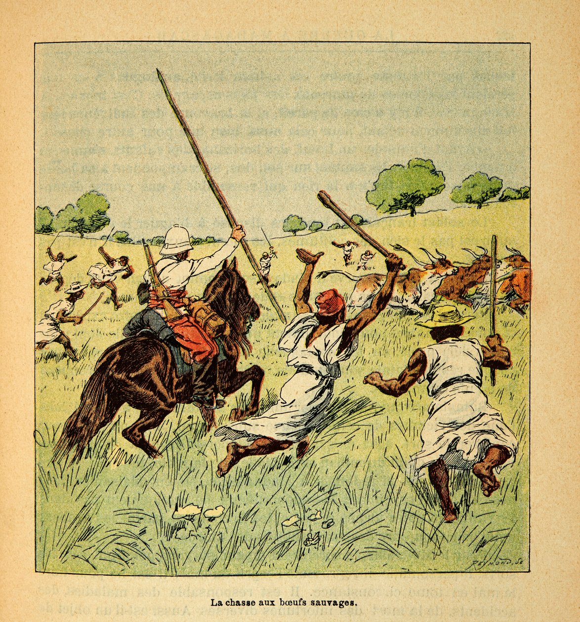 Der Krieg in Madagaskar - Anekdotische Geschichte der französischen Expeditionen von 1885-1895 von Henri Galli dit Galllichet (1854-1922), illustriert von Louis Bombled (1862-1927): Die Jagd auf wilde Ochsen in Madagaskar im Jahr 1895, Privatbesitz von Louis Charles Bombled