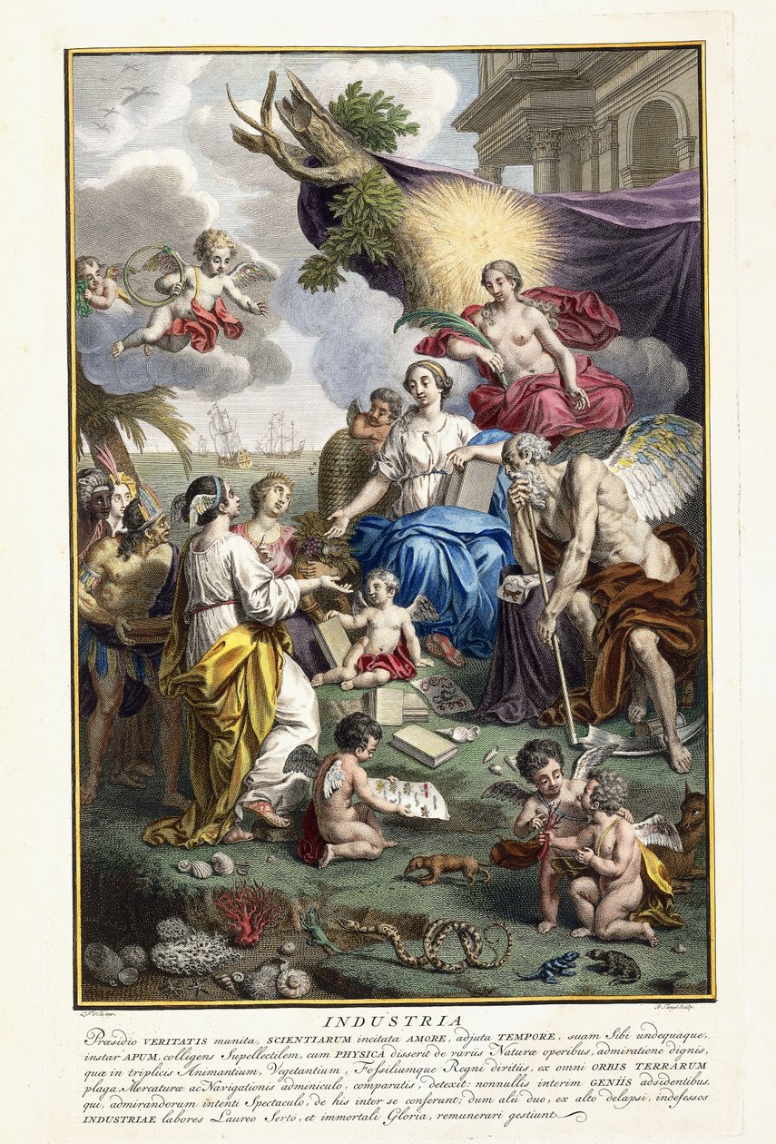 Industrie, Frontispiz aus "Locupletissimi Rerum Naturalium Thesauri Accurata Descriptio", 1734-1765 von Louis Fabricius Dubourg