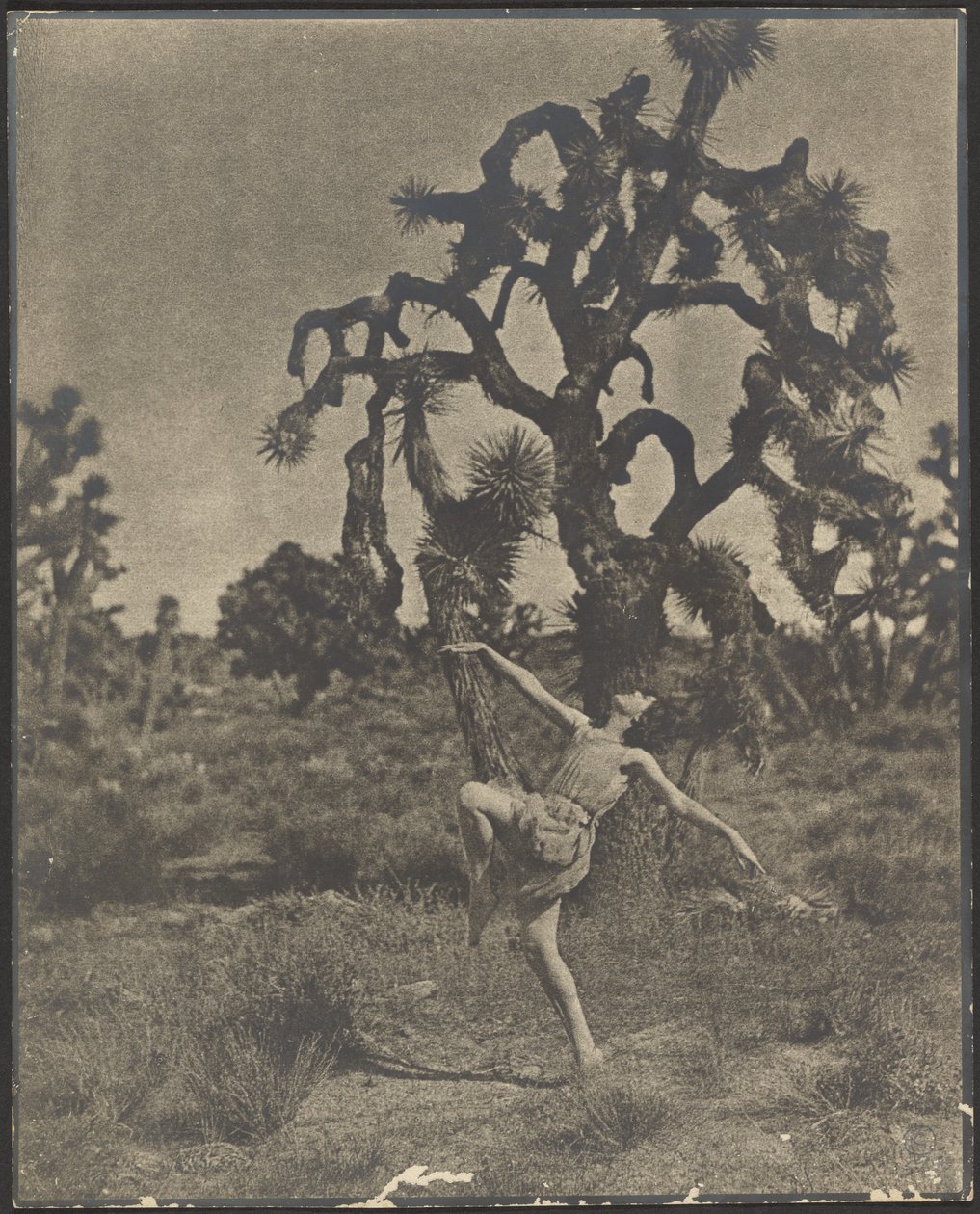 Inspiration des Tanzes von Louis Fleckenstein