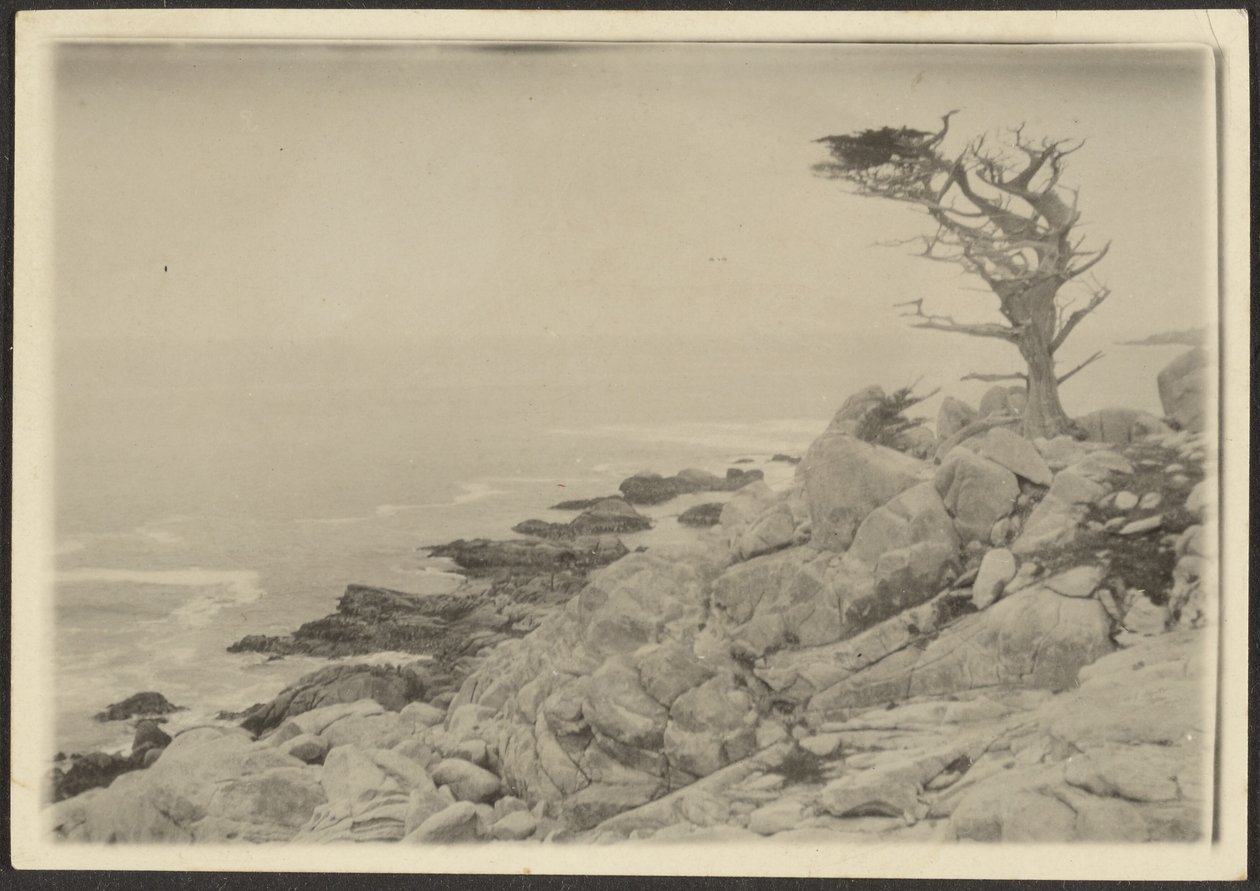 [Landschaft] von Louis Fleckenstein