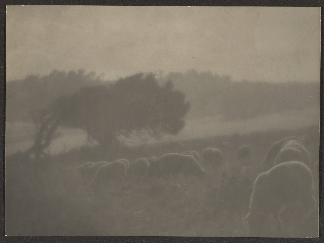 Landschaft mit Schafen von Louis Fleckenstein