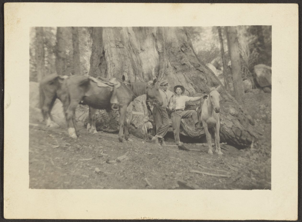 Männer und Packpferde in Waldlichtung von Louis Fleckenstein