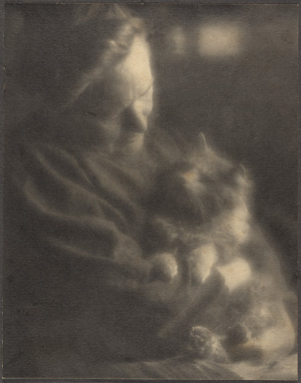 Der Angora-Haustier von Louis Fleckenstein