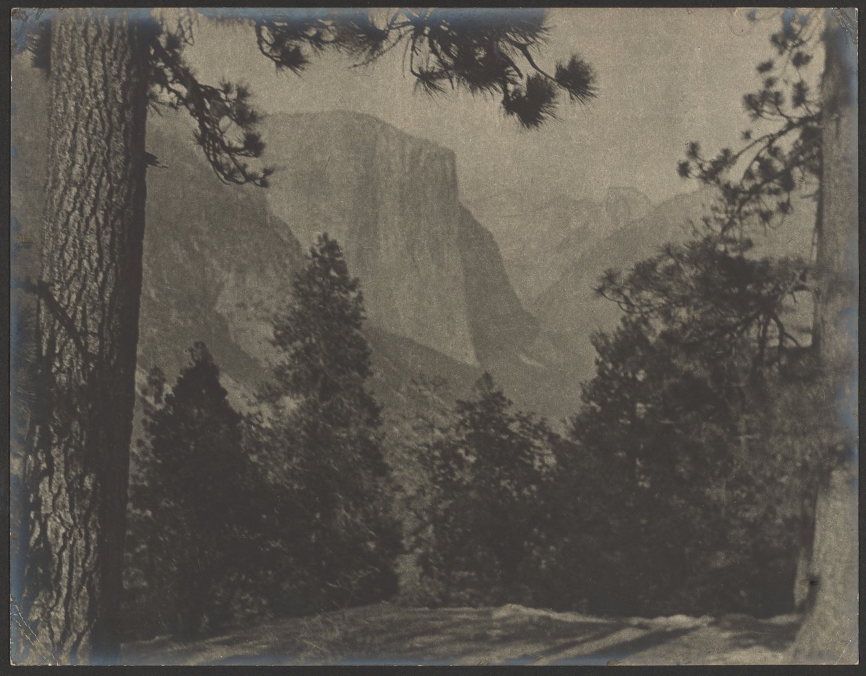 Yosemite, durch die Kiefern von Louis Fleckenstein