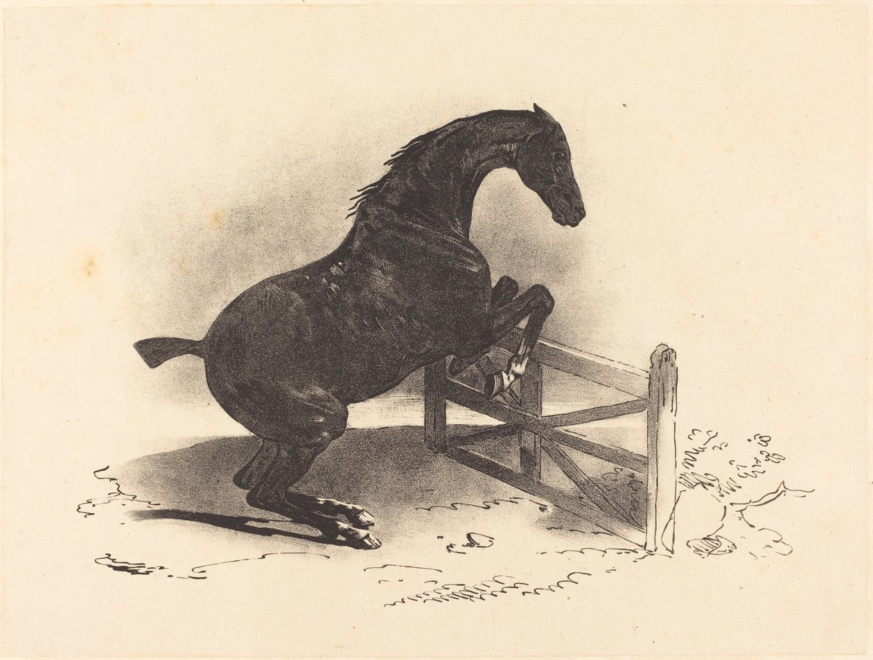 Pferd springt über eine Barriere von Louis Pierre Marie Courtin after Théodore Gericault