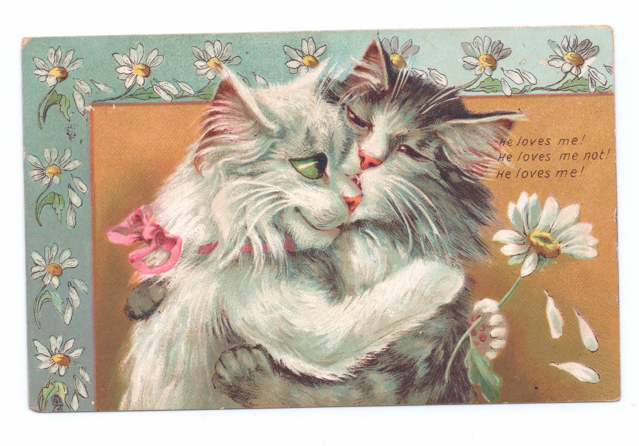 Edwardianische Postkarte von zwei sich umarmenden Katzen, ca. 1910 von Louis Wain