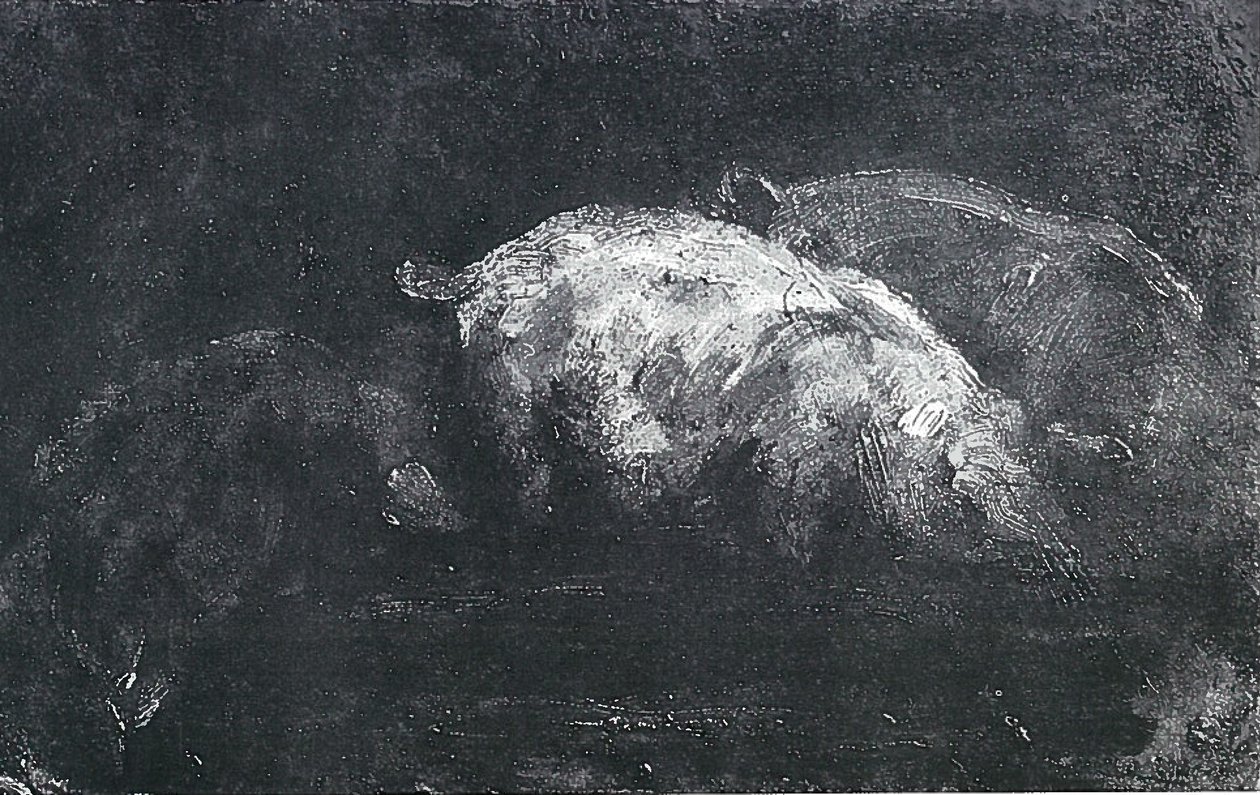Fressende Schweine von Lovis Corinth