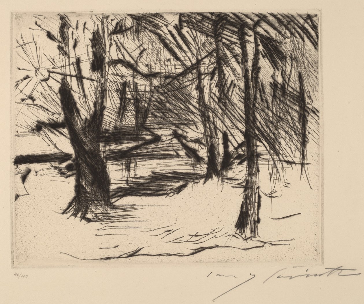 Bäume mit Sonne, 1920-1921 von Lovis Corinth