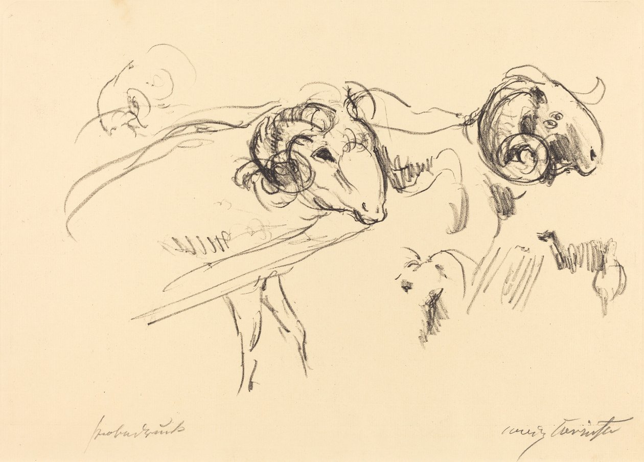 Schafböcke von Lovis Corinth