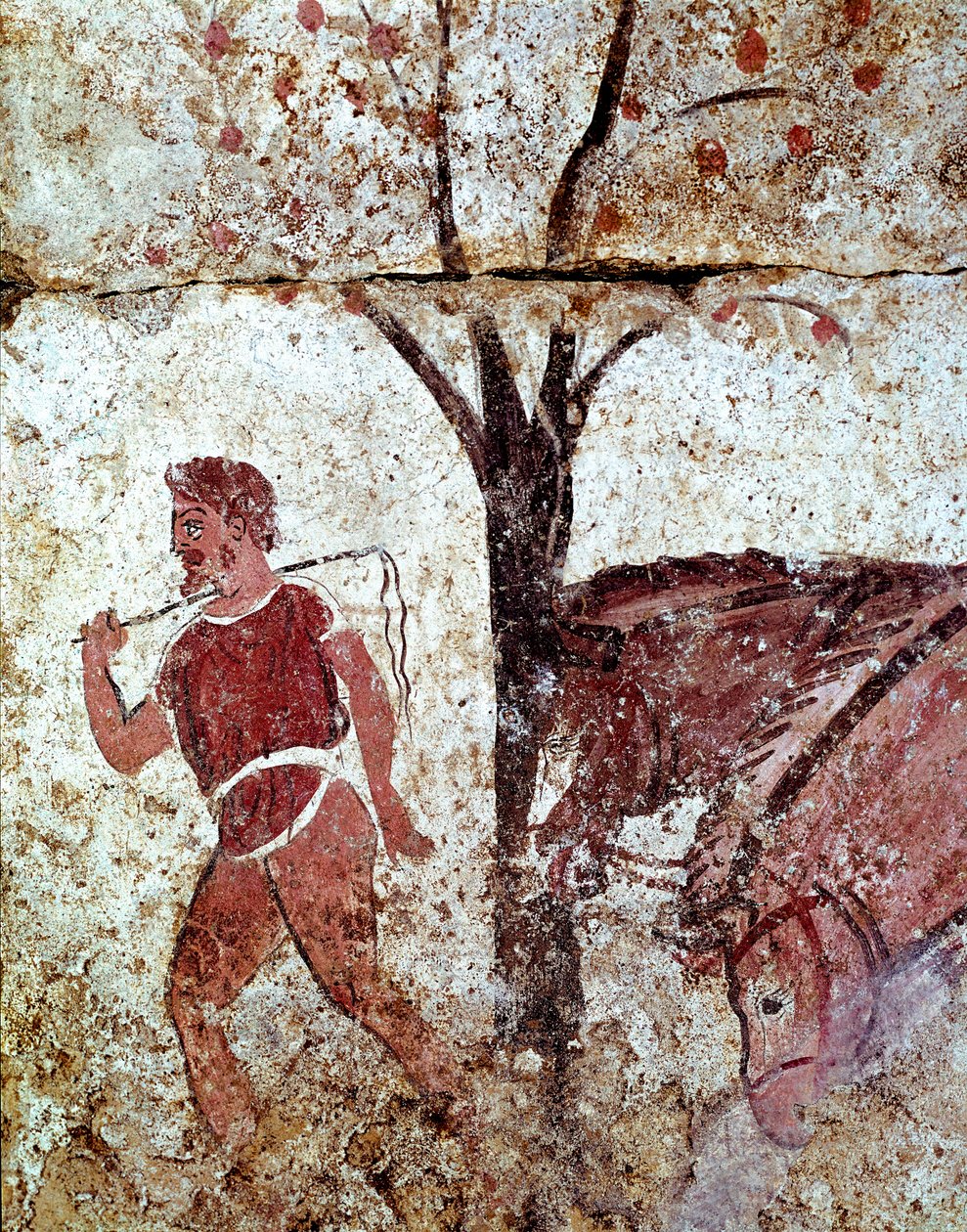 Ein Bauer zieht zwei Pferde. Lukanisches Fresko aus dem 4. Jahrhundert v. Chr., aus der Nekropole von Paestum, Italien von Lucanian School